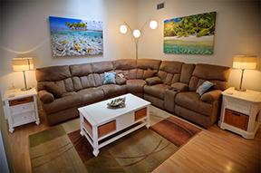 Seaing Stars with Palm Paradise 36x60